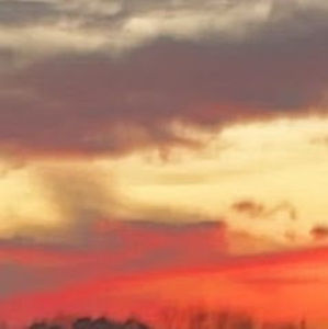 Meet your Posher, Melena